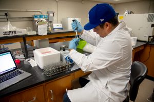 student sitting at a lab bench using a pipette