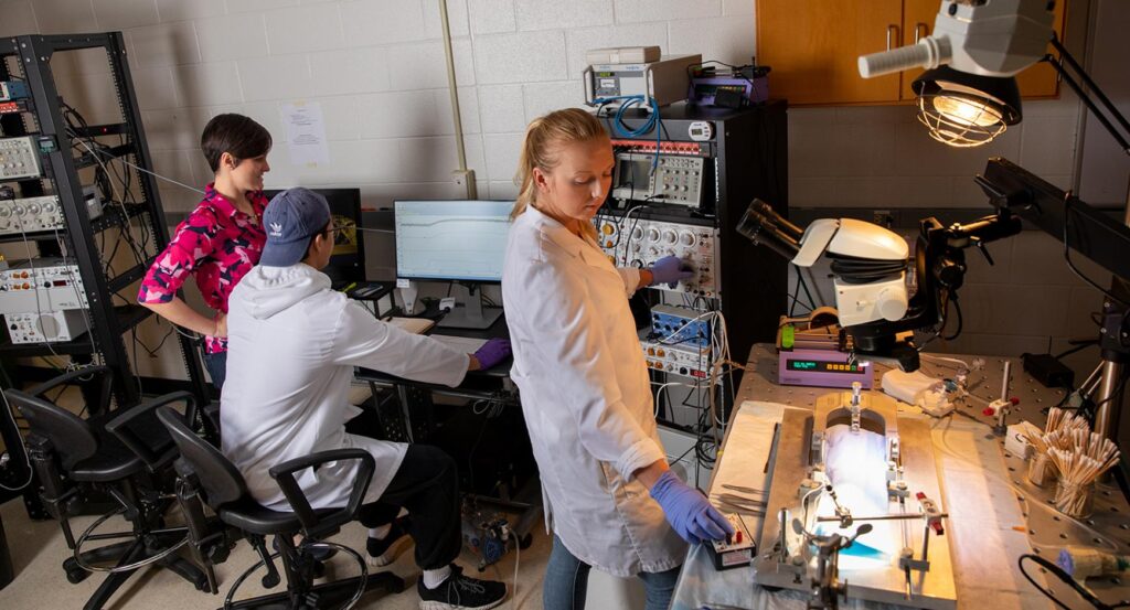Assistant professor Audrey Stone works with students in a lab