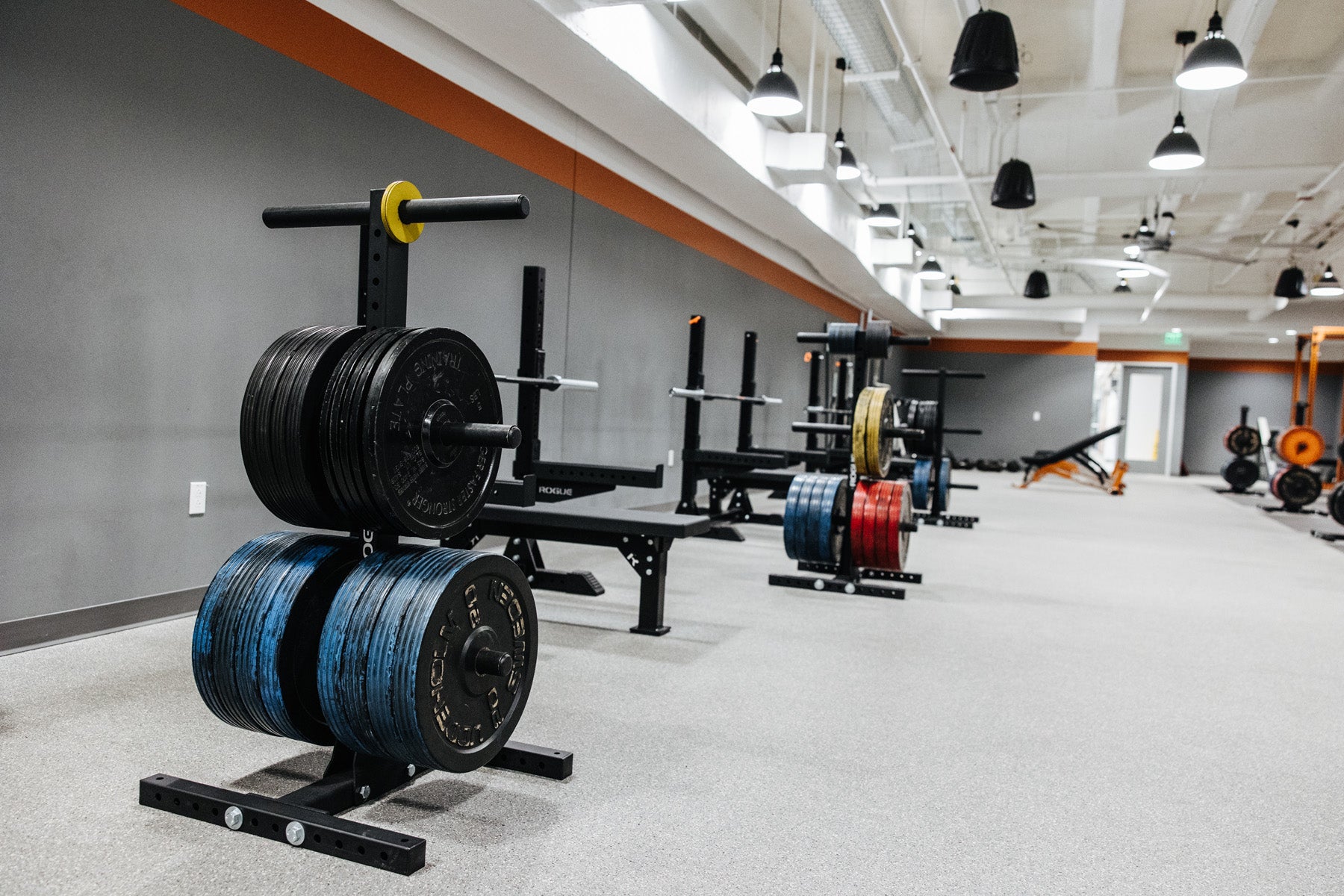 Updated weight training areas provide training opportunities for students in sport and health-related fields.